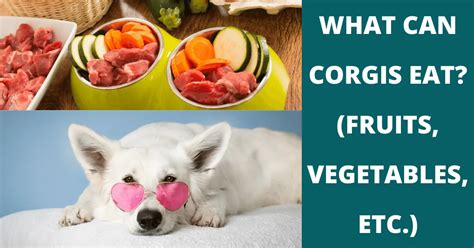 37 Fruits, Vegetables & Snacks Corgis Can (And Can’t) Eat.